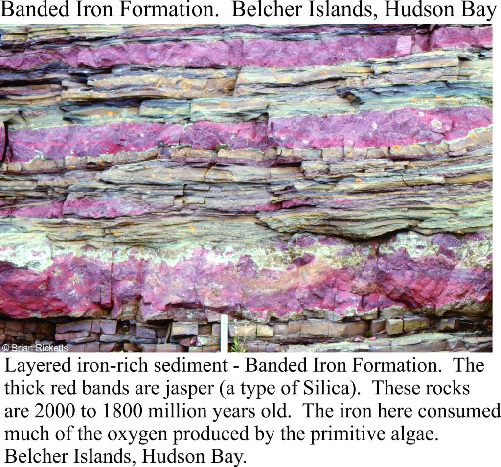 Banded iron formations in the Precambrian probably sucked up a lot of the produced oxygen from the early atmosphere