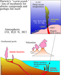 Possible factories for early life in terrestrial geothermal vents and oceanic black smokers