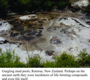 Gurgling mud pools - the ideal place for incubating bacteria?