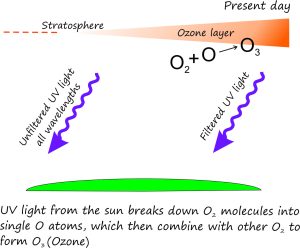 In the early primitive atmosphere there was probably little of no ozone to protect against UV radiation from the sun, because there was little or no free oxygen, from which it forms