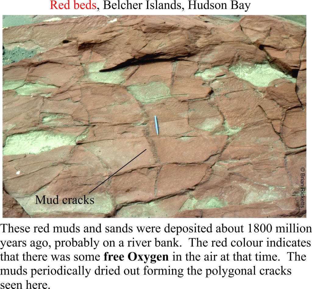 Ancient mudcracks in red coloured beds of mud and sand from an ancient river system, about 1800 million years old, indicates that there mist have been some free oxygen in the atmosphere by this time