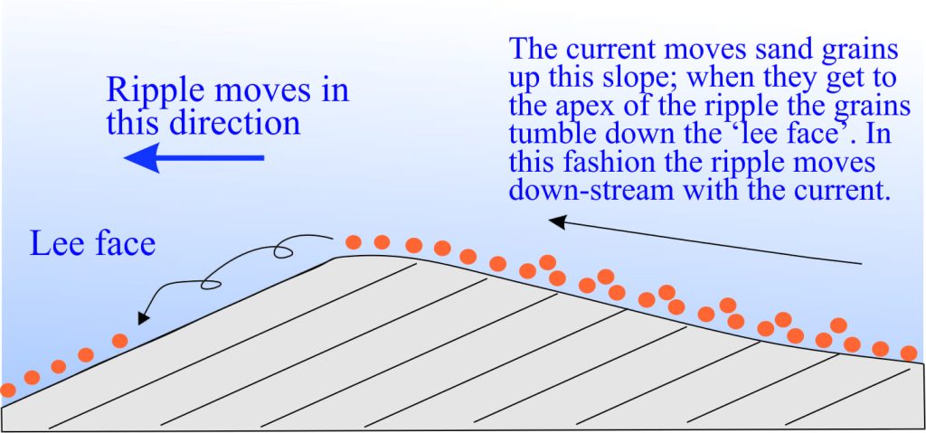 Ripple formation and migration, in 2D