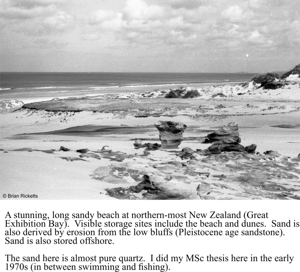 Sand storage along a modern beach and coastal dune system, northern NZ