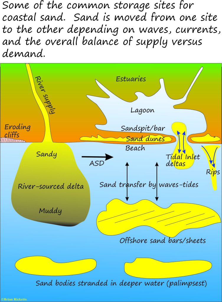 Sediment sources and storage sites along a coast. This is a dynamic system where the movement of sand from one environment to another is constant
