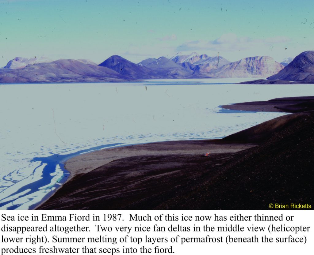 Emma Fiord, 1987, with lots of sea ice