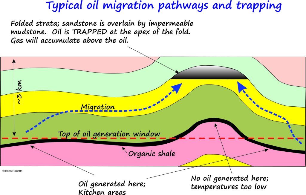 Typical oil migration pathways and trapping mechanisms