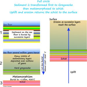 Formation of Otago schist (a metamorphic rock), beginning with sediment, followed by deep burial over millions of years