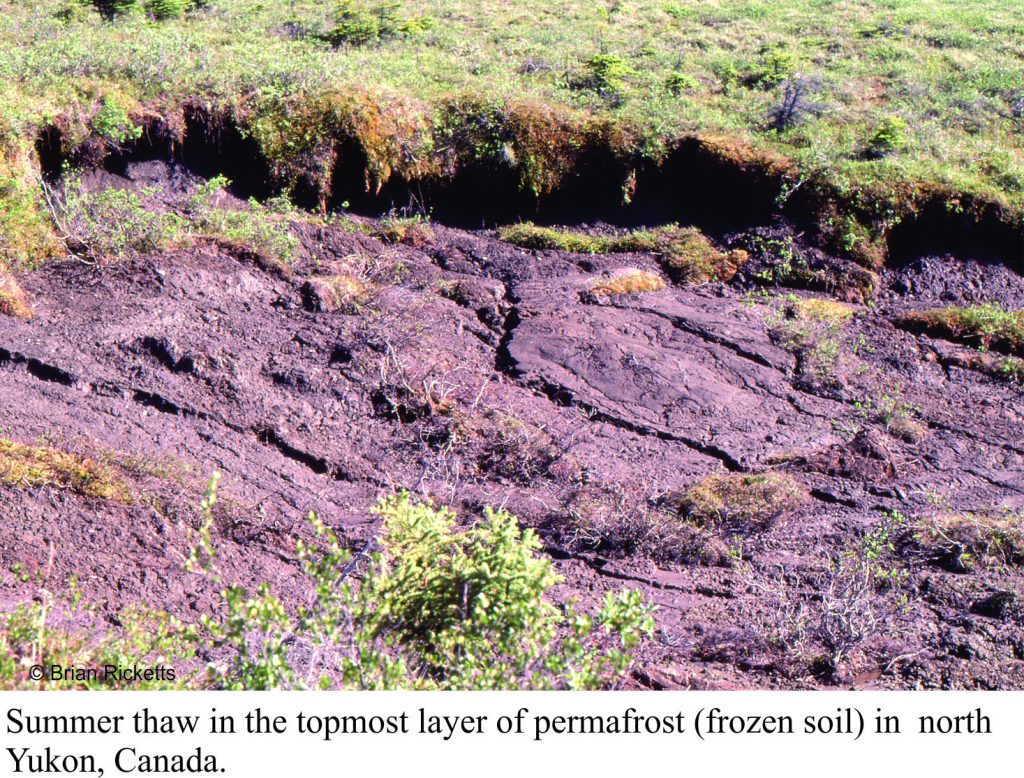 Yukon permafrost thaw, collapse and erosion