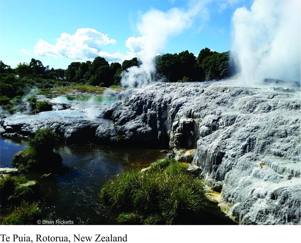 Te Puia in central North Island, NZ, a well-known region geothermal activity