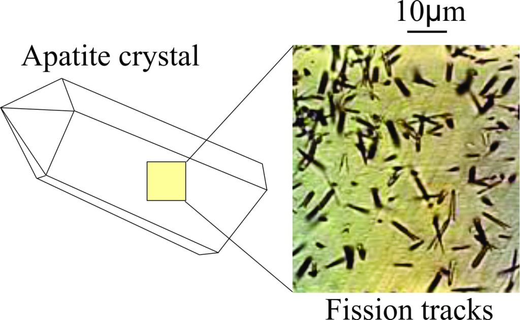 Paleotemperatures can be measured using fission decay tracks in apatite crystals. The tracks appear as dark traces within the crystal lattice.