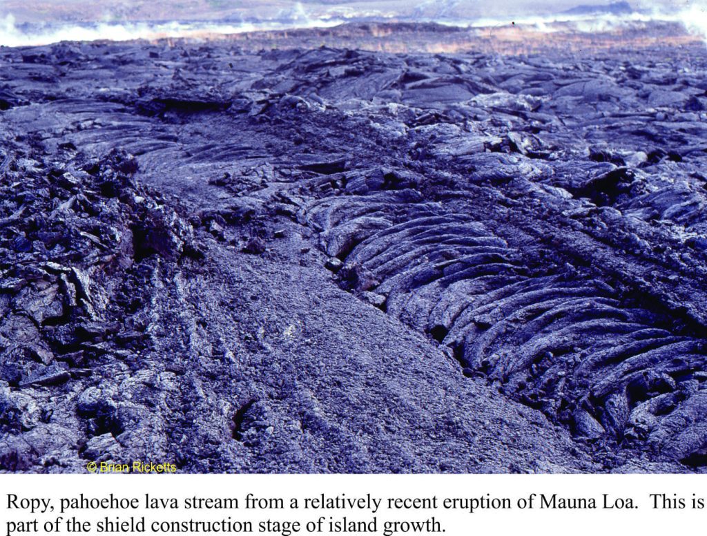 Hawaiian ropy lava stream