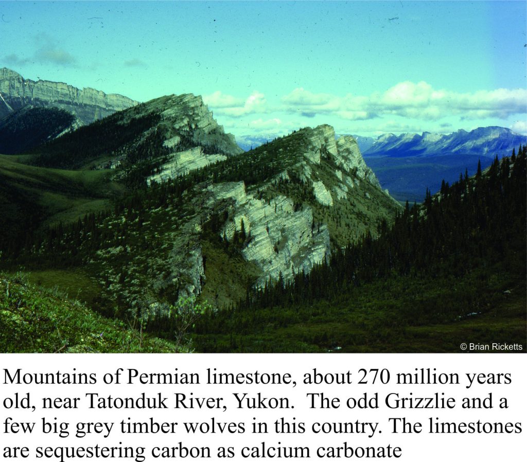 Mountain of Permian-limestone, sequestering carbon