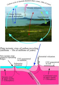 The carbon-cycle at the surface in in subsurface