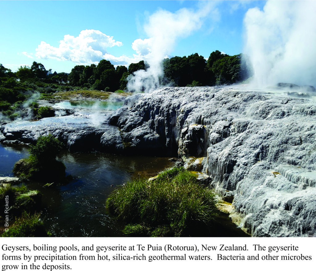 Geysers, boiling pools and mud, and geyserite precipitation from hot fluids, Rotorua, NZ