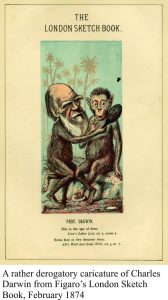 A derogatory charicature of Darwin, 1874