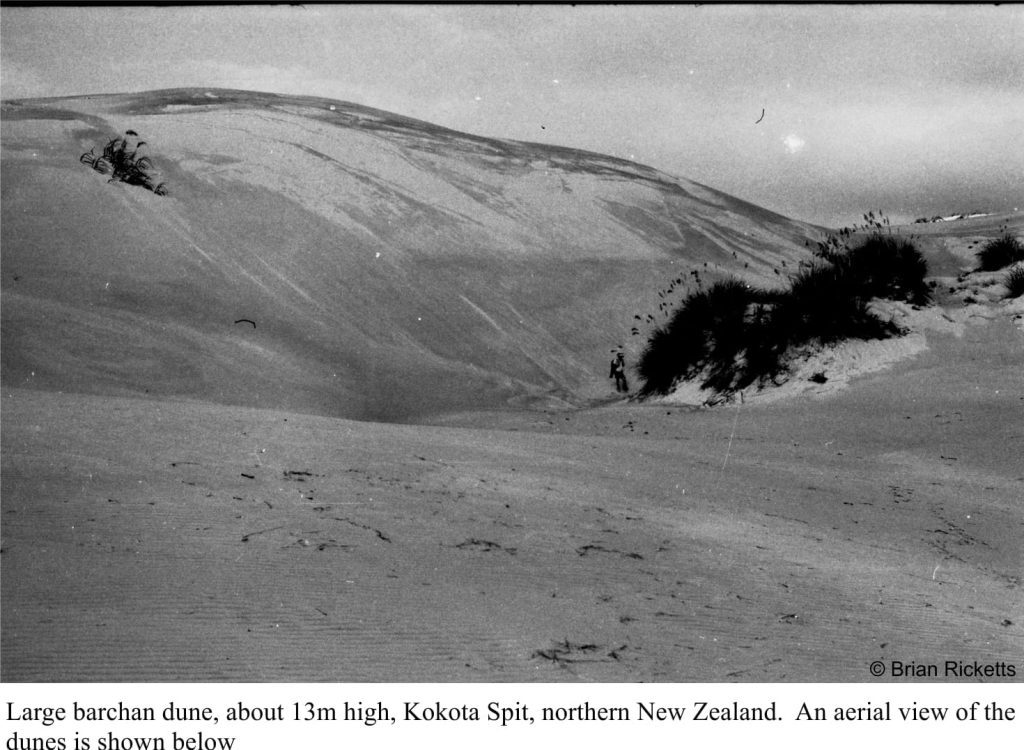 A Recent barchan dune from northern NZ