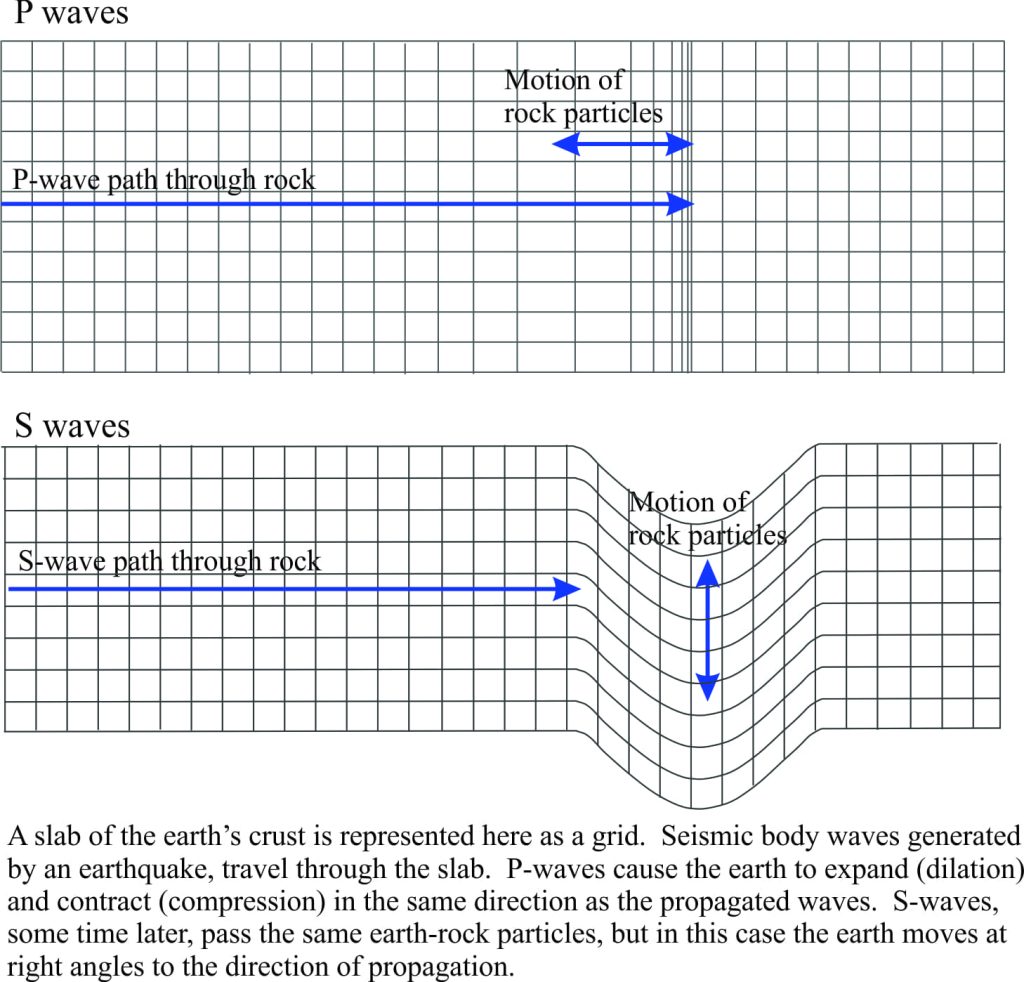Schematic illustration of P and S seismic waves