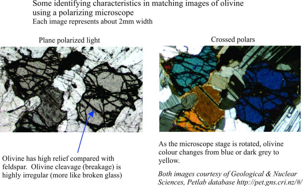 Some identifying traits of olivine in thin section