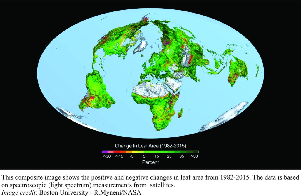 Changes in leaf area from 1982 - 2015, measured by satellite spectroscopy