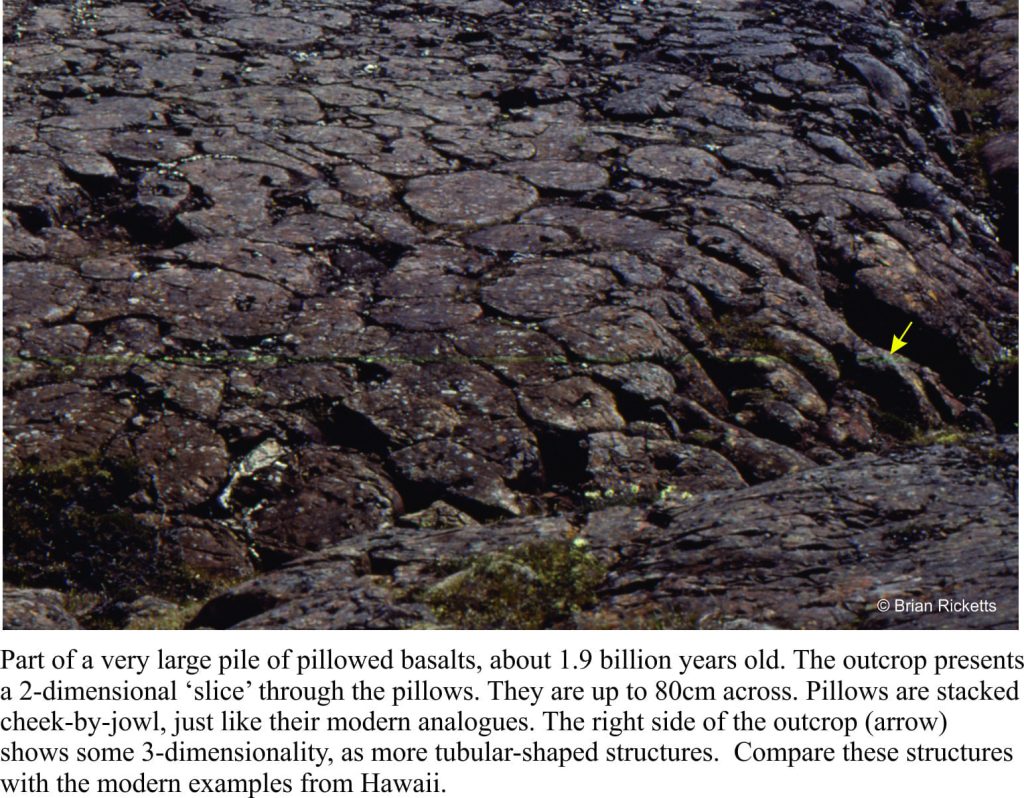A 2 billion year old pile of pillow basalts