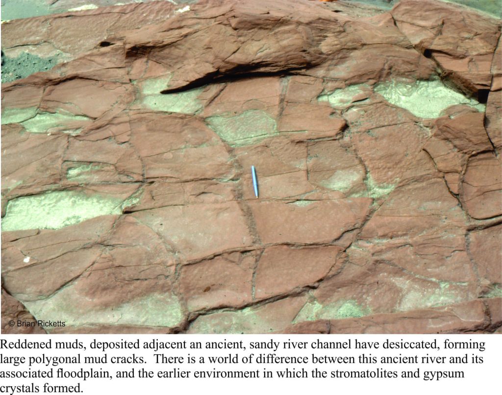 Mud cracks in a 2 billion year river deposit