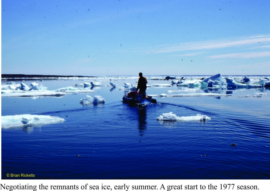 Negotiating sea ice, 1977