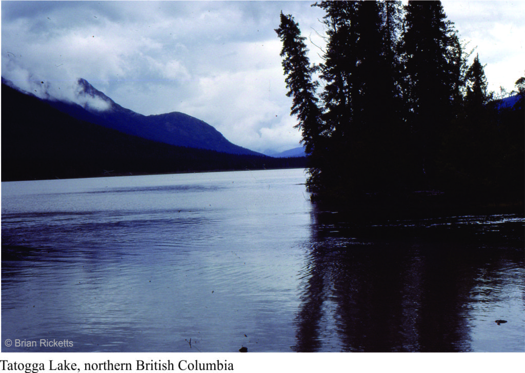 Tatogga Lake, British Columbia