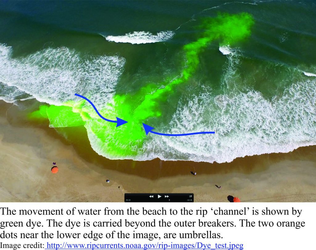 An experiment with green dye showing the path of rip current flow