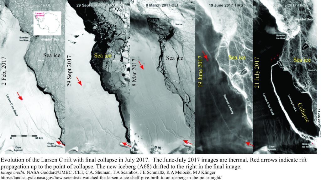 Evlution of Larsen C ice shelf rift and final collapse