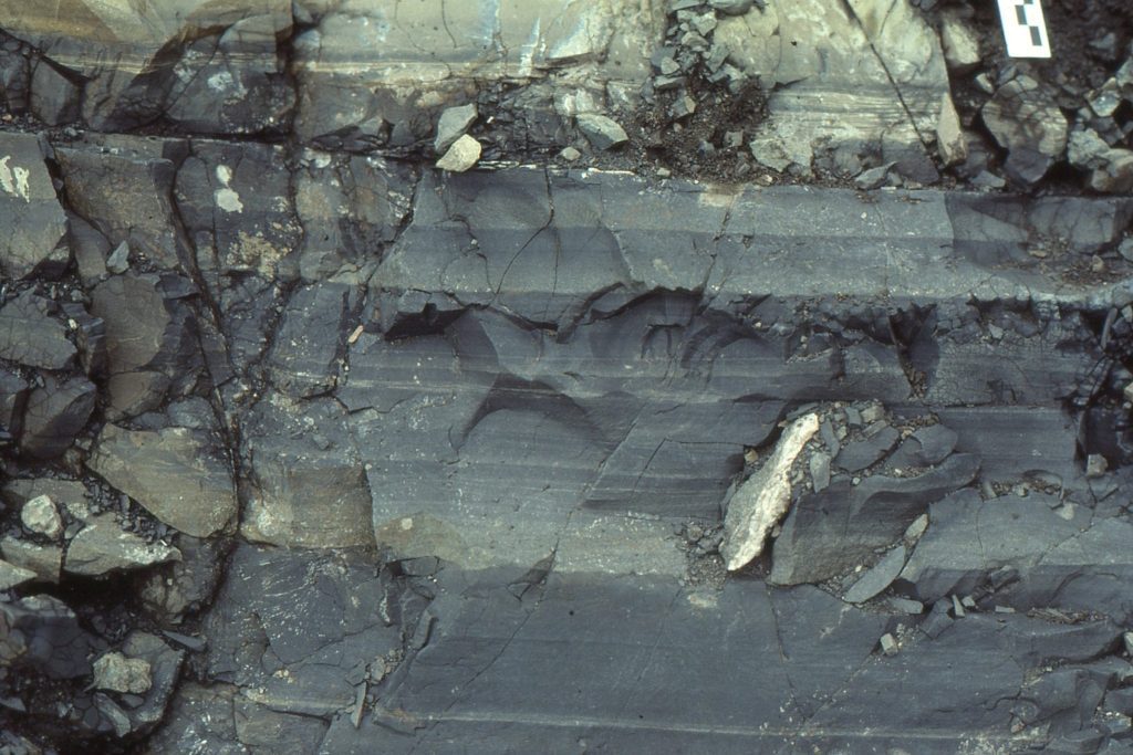 Thin bedded, graded,  fine-grained sandstone-mudstone slope deposits (Jurassic, Bowser Basin, B.C. Canada).