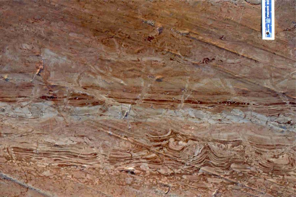 Ancient mudcracks exposed in cross-section, showing typical up-turned edges. The more pebbly unit at the bottom is a storm deposit where desiccated mud was ripped up and redeposited