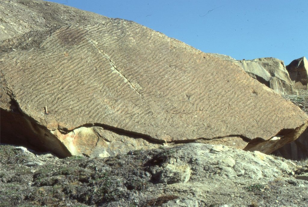 Dipping bedding that is part of a fold limb