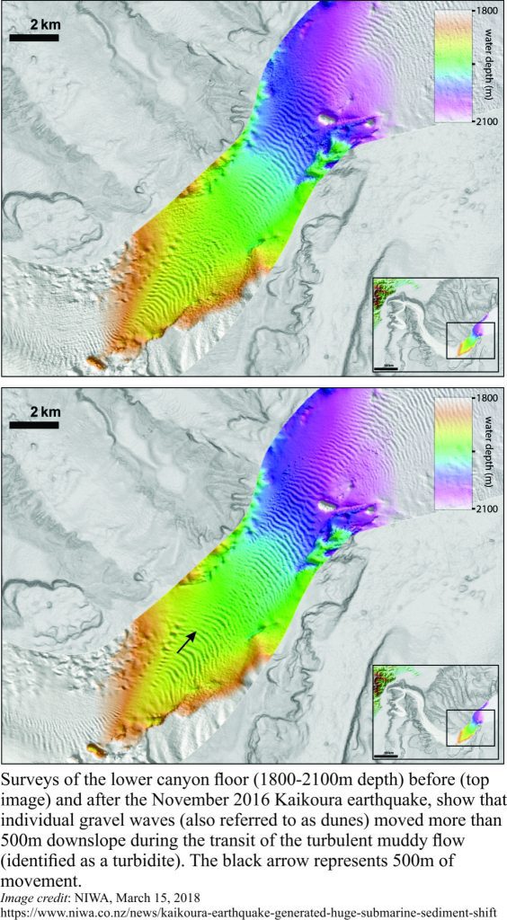 Bottom sediment surveys in Kaikoura Canyon pre- and post- the 2016 earthquake
