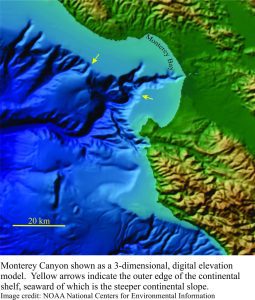 Bathymetyric reconstruction of Montery Canyon