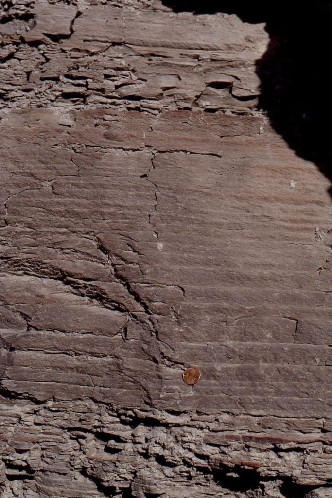 Thin, graded prodelta deposits (Carboniferous of Kentucky)