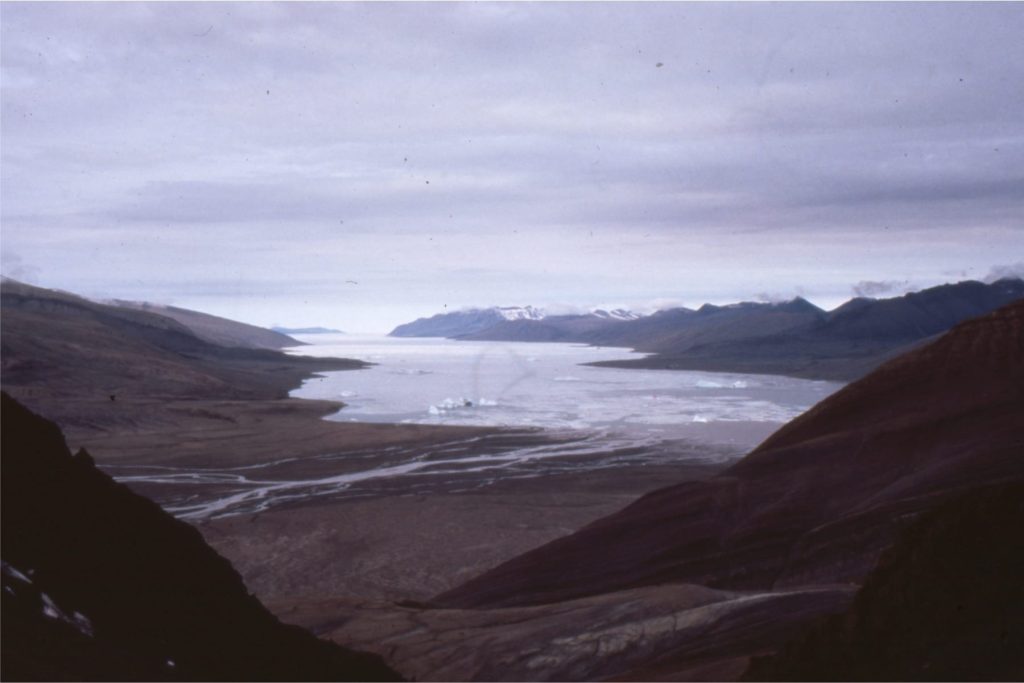 Fan deltas at several locations along Tanquary Fiord, Ellesmere Island