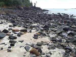 Angular andesite boulders in fine sand present a broadly bimodal grain population, Little Bay, Coromandel, NZ