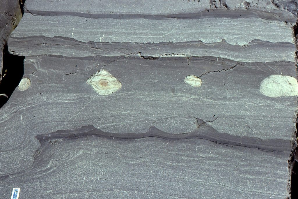 Graded bedding in turbidites is a common indicator of stratigraphic 'way up'.
