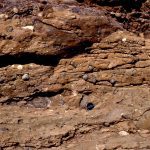 Classic outcrops of pebbly mudstone - matrix-supported debris flows, that probably accumulated in proximal fan channels. Upper Cretaceous Pigeon Point, California.