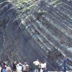 Successive cycles of thinning upward and thin bedded, distal fan turbidites, Point San Pedro, California. 