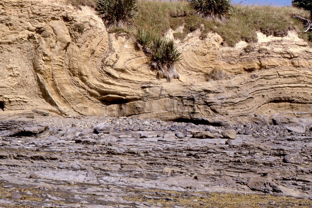 Early Miocene soft-sediment deformation as a recumbent anticline, Army Bay, NZ