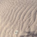 sand dune traces