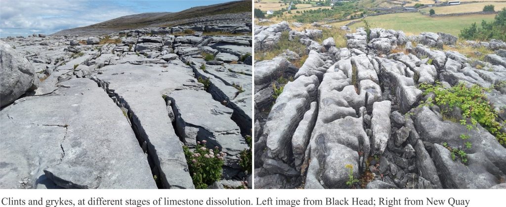 Clints and grykes - karst structures in Burrens limestones