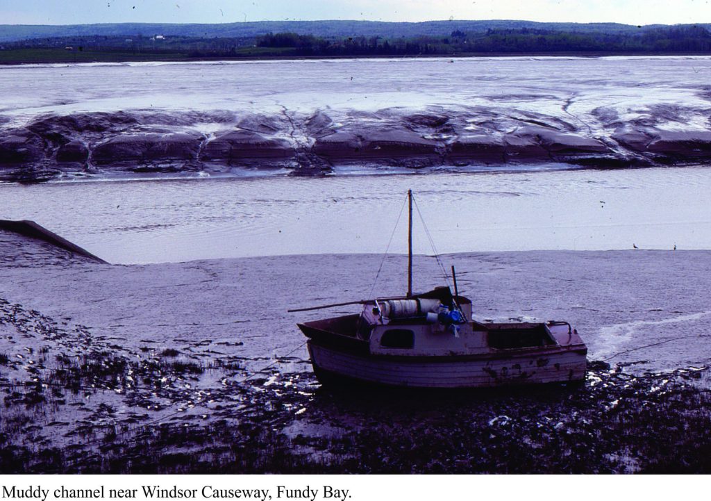 Muddy tidal channel, Windsor Causeway, Fundy Bay