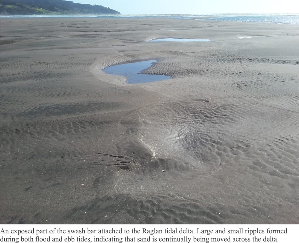 Exposed margin of the tidal delta platform, with large and small ripple