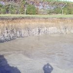soil on coastal plain gravels