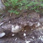 Alpine clay gravel loam profile