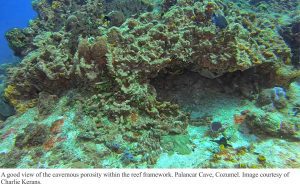 palancar cave reef porosity