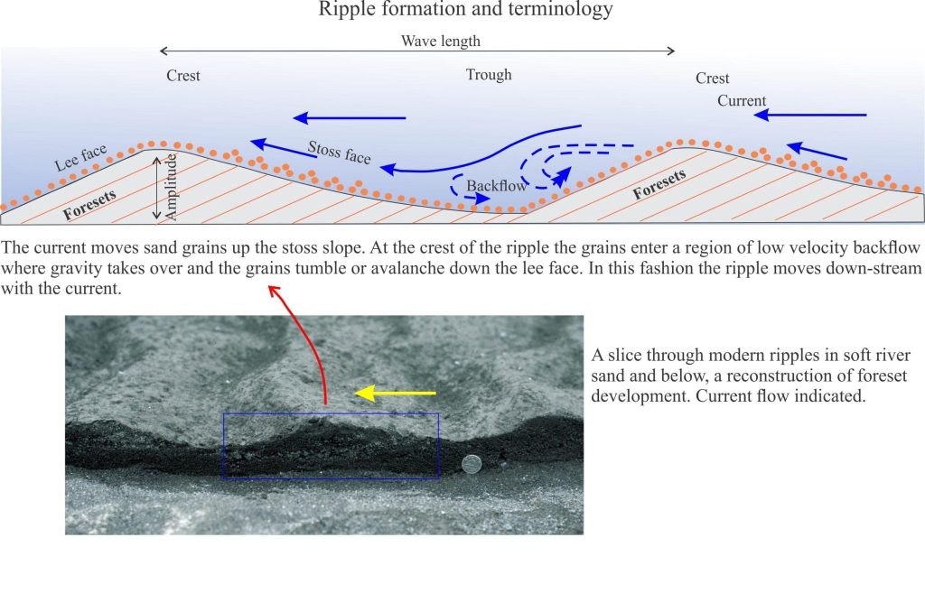 Ripple formation and terminology
