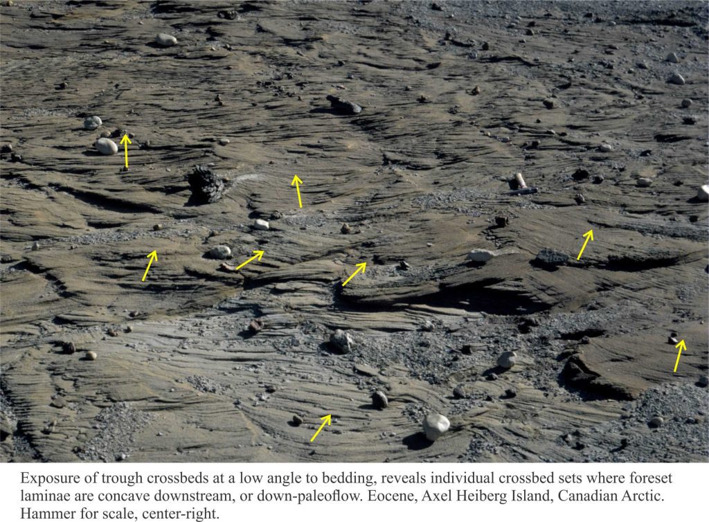 Flow directions can easily be measured in festooned crossbeds exposed on or slightly oblique to bedding